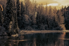 aurora_boreal_floresta_boreal_lago-1