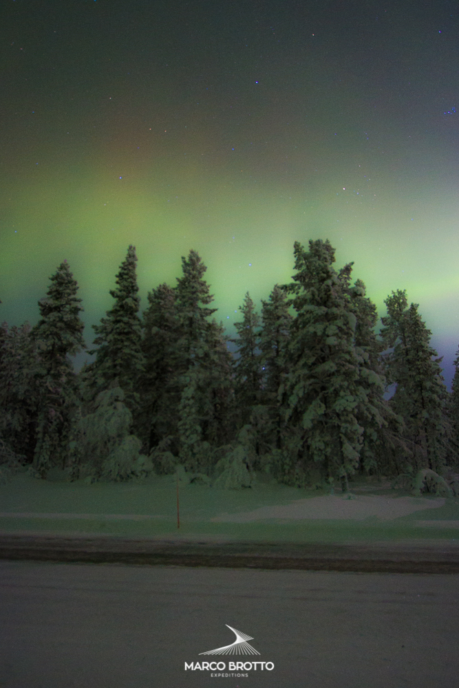 aurora-boreal-noruega-finlandia-suecia-arvores aurora-boreal-noruega-finlandia-suecia-arvores