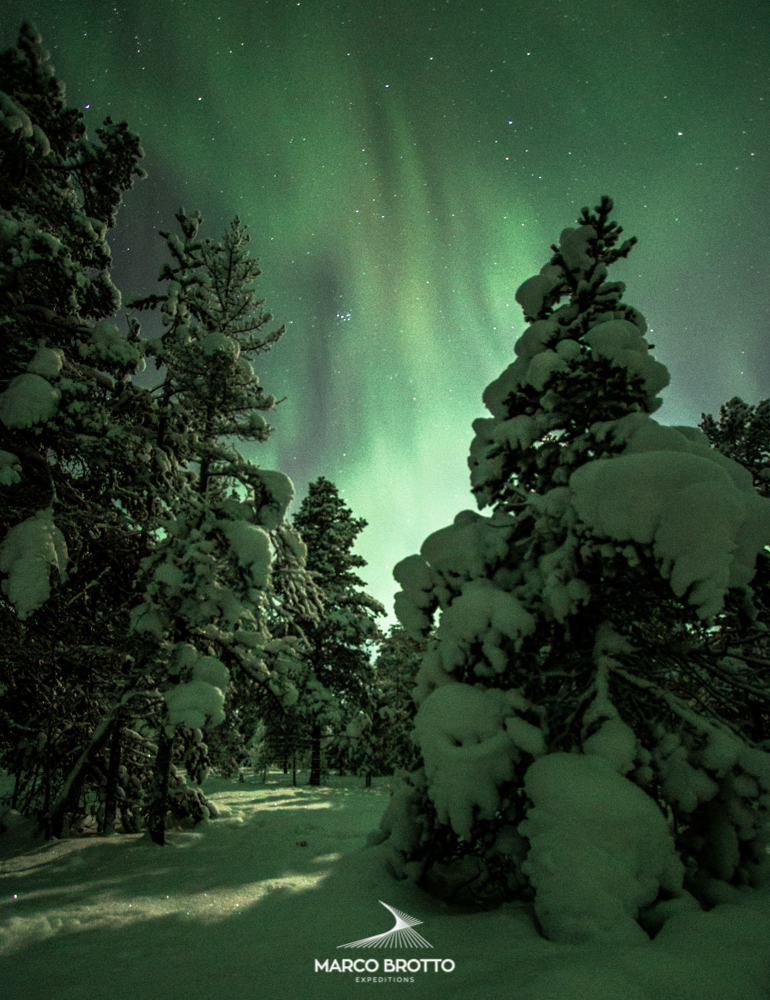 aurora-boreal-noruega-finlandia-suecia-registro aurora-boreal-noruega-finlandia-suecia-registro