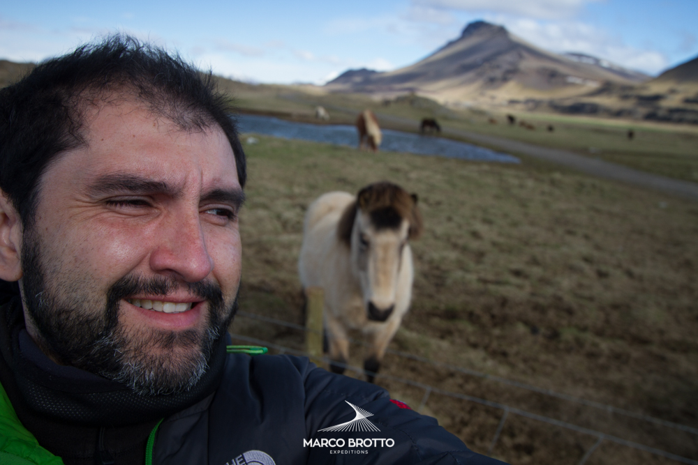 aurora-boreal-islandia-animais aurora-boreal-islandia-animais
