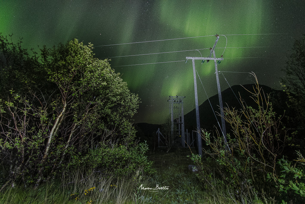 aurora-boreal-noruega-vegetacao