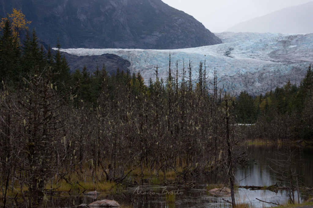 aurora-boreal-alasca-glacial aurora-boreal-alasca-glacial