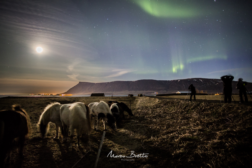 aurora-boral-na-islandia-fotografar aurora-boral-na-islandia-fotografar