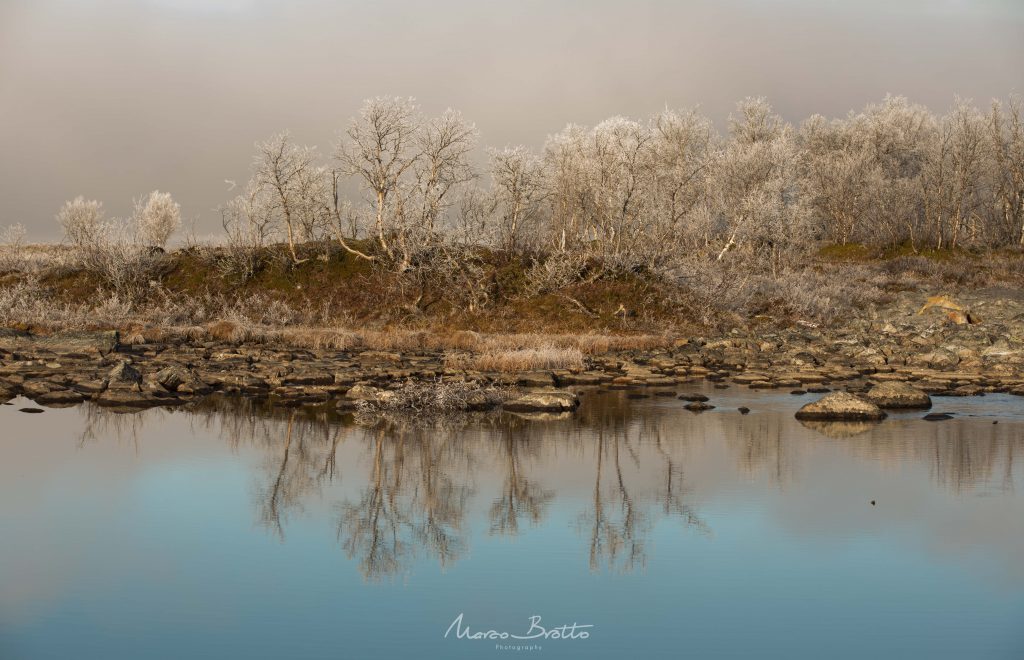 aurora-boreal-em-tromso-paisagem