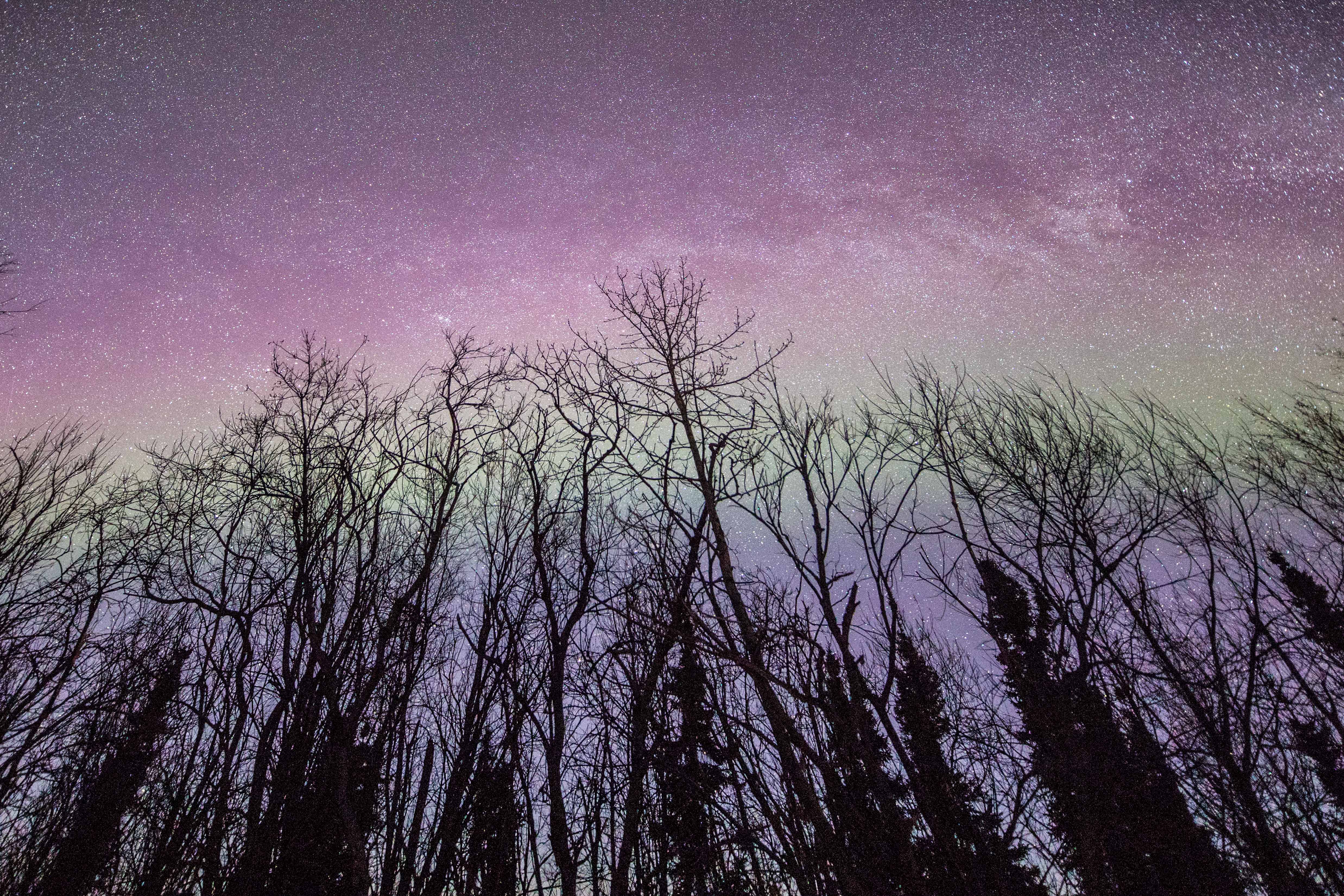 aurora-boreal-no-alasca aurora-boreal-no-alasca
