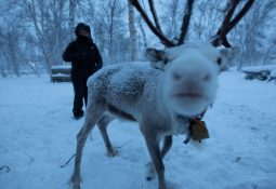 Lapônia: Noruega e Finlândia – Aurora Boreal, Paisagens & Cultura Sami