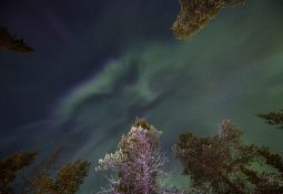 onde-ver-aurora-boreal