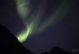 ver a aurora boreal