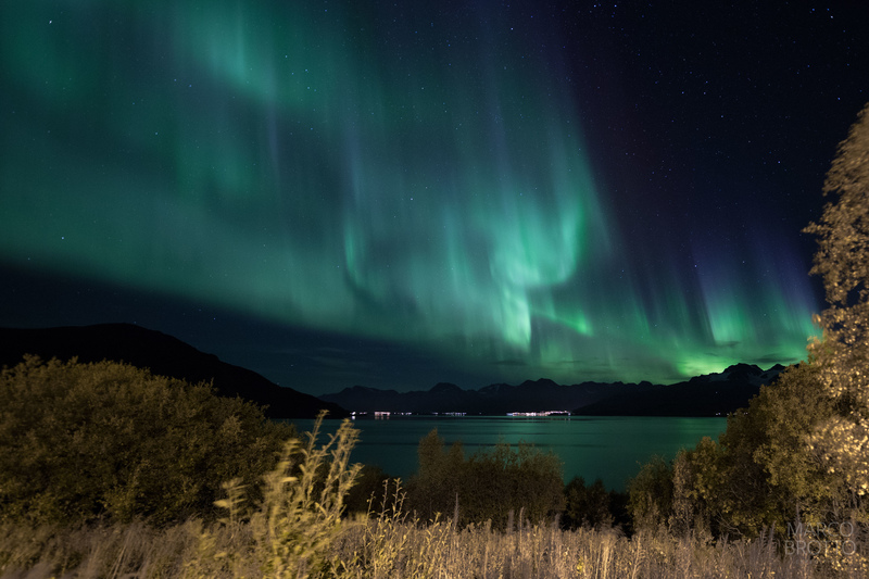 O raro vislume das auroras boreais nas melhores imagens de 2023