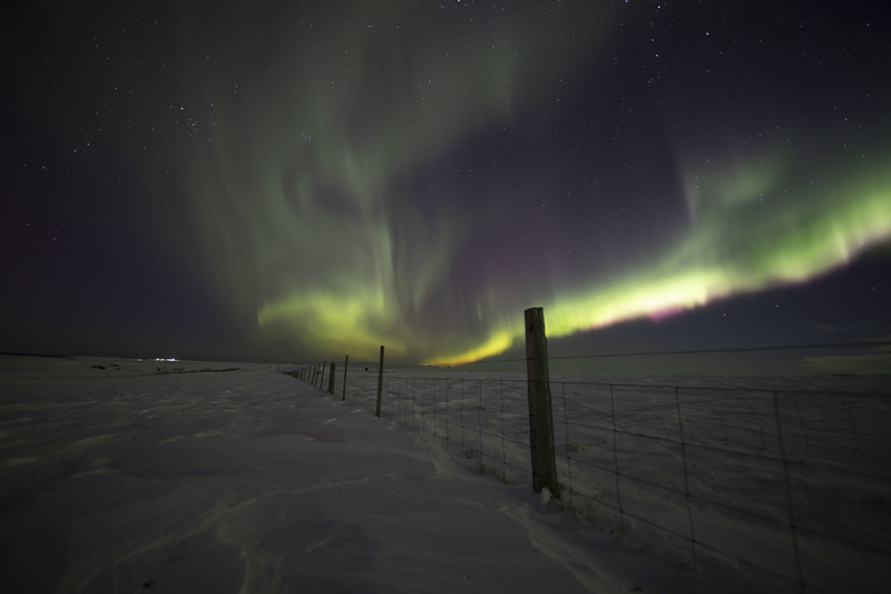 Aurora boreal no formato de um dragão aparece na Islândia
