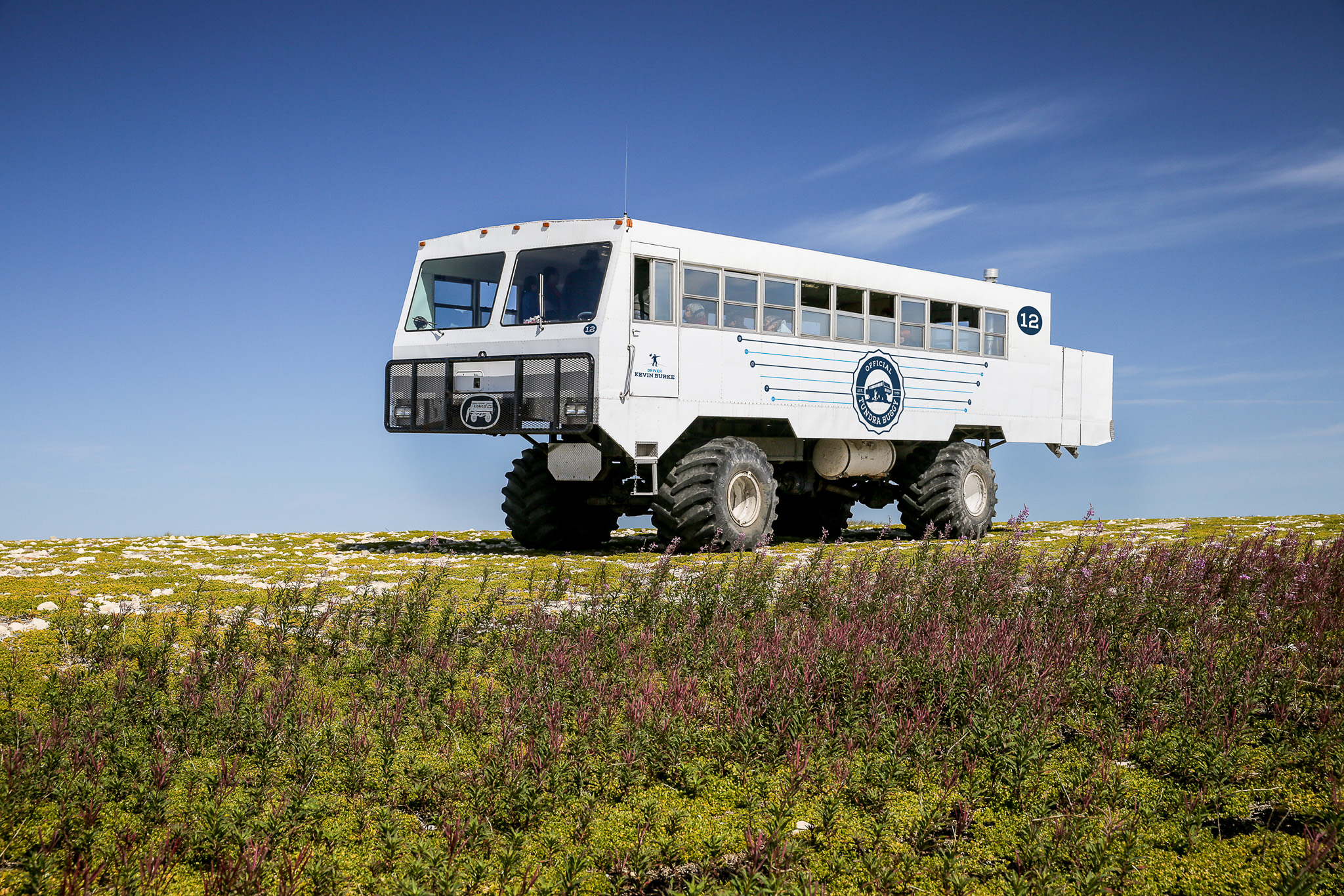 Tundra BuggyÆ adventure-22573