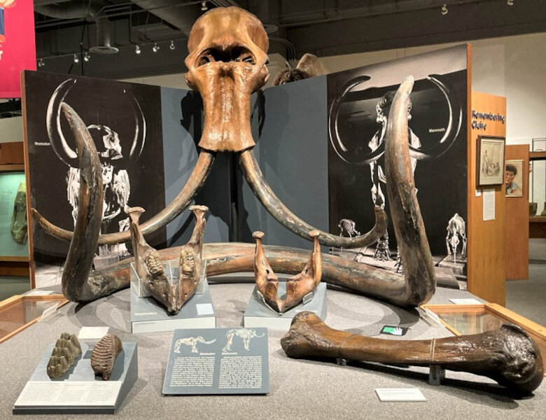 Museu do Norte em Fairbanks