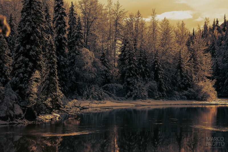 Floresta Boreal