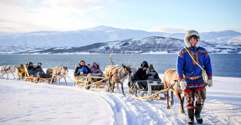Tromso Passeio de trenó