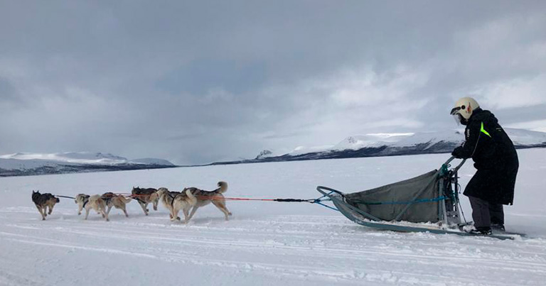 Dogs Ledding na Finlândia | Marco Brotto Expeditions